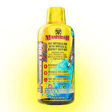 Mammoth L-Carnitine