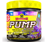 Mammoth Pump